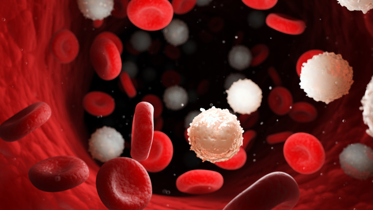 Experimental Hematology (Rossi)