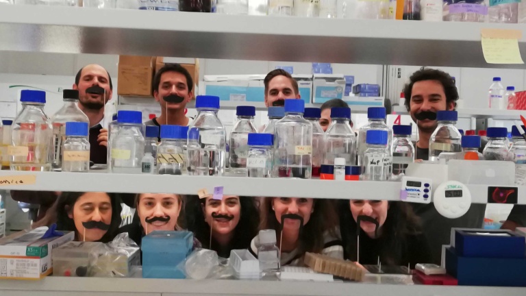 Movember at the Institute of Oncology Research