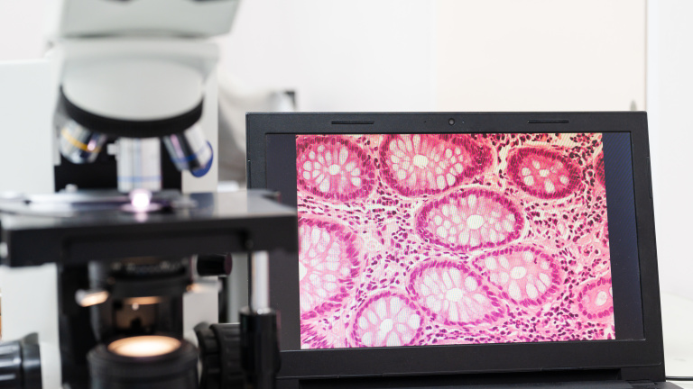 Experimental Pathology