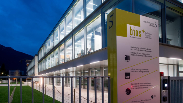 /uploaded-files/Stabile Bios.jpg