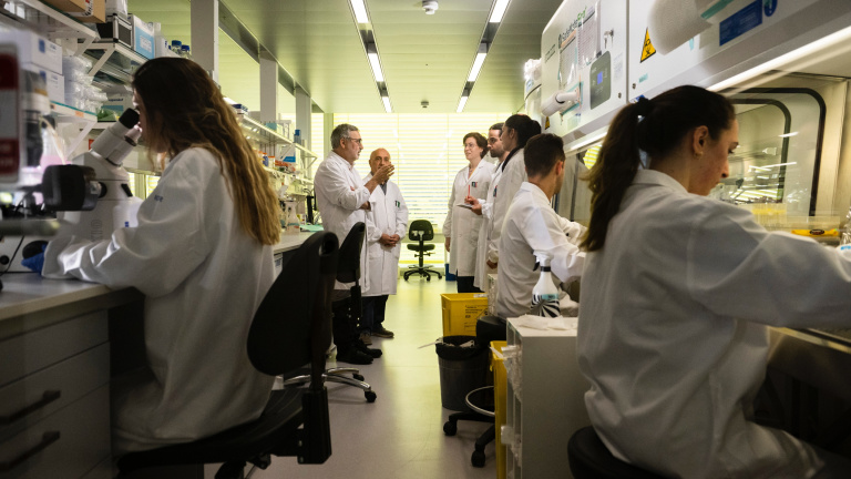 A new study from the IOR reveals how to eradicate cancer stem cells in prostate tumors
