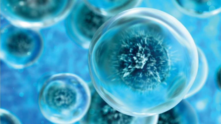 Flow Cytometry