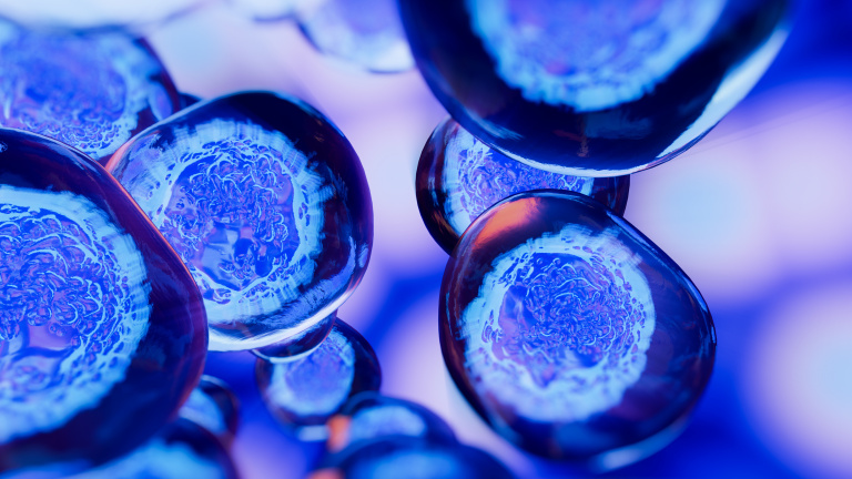 Stem Cells and Cancer (Baggiolini)