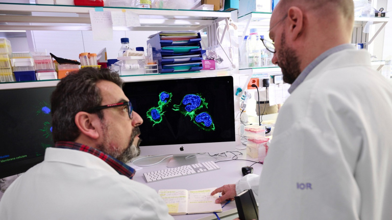 B-cell lymphomas: IOR discovery sheds light on resistance to treatment